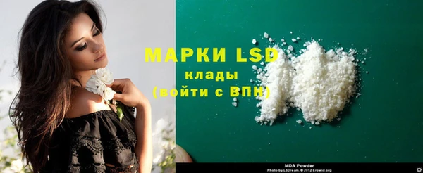 apvp Надым