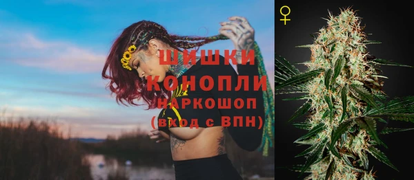 ECSTASY Елизово